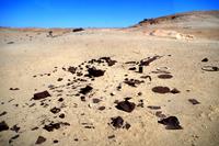 Auf Pad mit Konny - Schrott aus vergangenen Zeiten