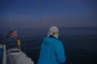 Walvis Bay - Lagunenfahrt