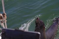 Walvis Bay - Lagunenfahrt