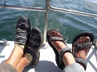 Walvis Bay - Lagunenfahrt - Schön war`s