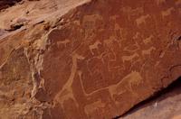 Felsgravuren bei Twyfelfontein