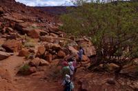 Twyfelfontein - Spaziergang mit Elizabeth