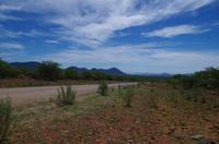 Ausflug ins grüne Kaokoveld zu den Himbas