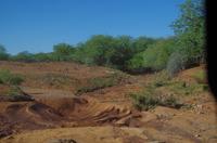 Ausflug ins Kaokoveld zu den Himbas