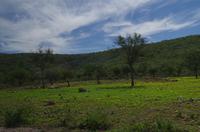 Ausflug ins grüne Kaokoveld zu den Himbas