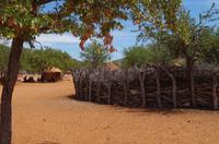 Himbadorf - der heilige Kraal