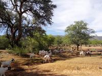 Unterwegs im Kaokoveld