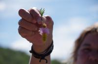 Auf Pad mit Konny - namibisches Weidenkätzchen