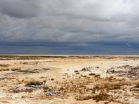 Etosha Nationalpark - Salzpfanne