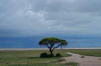 Etosha Nationalpark - Salzpfanne