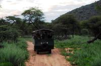 Pirschfahrt im Monstertruck