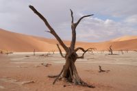 159-Namib Naukluft Park
