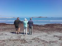 Wir halten Ausschau nach Delfinen