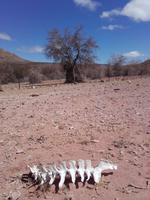 ...sehen wir dann so aus