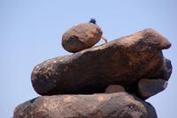 Spielplatz der Giganten