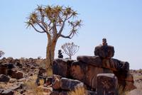Spielplatz der Giganten mit Köcherbaum