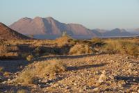 Impressionen Namibia (5)