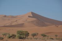 Auf nach Sossusvlei per Jeep 