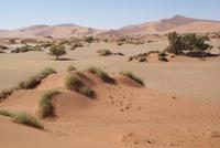 Sossusvlei 