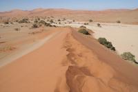 Aufstieg zu Big Mama