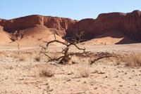 Auf dem Weg zur Namib Desert Lodge