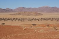 Landschaftsfahrt am Abend 