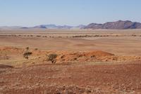 Landschaftsfahrt am Abend 