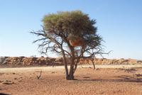 Landschaftsfahrt am Abend 