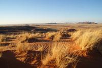 Landschaftsfahrt am Abend 