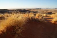 Landschaftsfahrt am Abend 