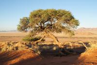Landschaftsfahrt am Abend 
