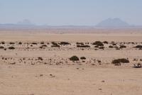 kleine und große Spitzkuppe
