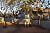 Damara Mopane Lodge