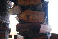 Zur Erinnerung an einen wunderbaren Tourguide  RIP Manfred!