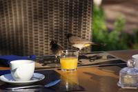 darf niemand verwehren