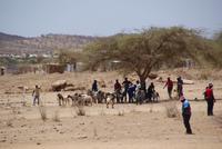 unterwegs im Kaokoland 