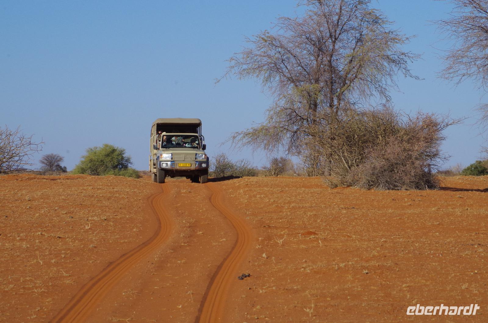 Namibia - Nature Drive in der Kalahari