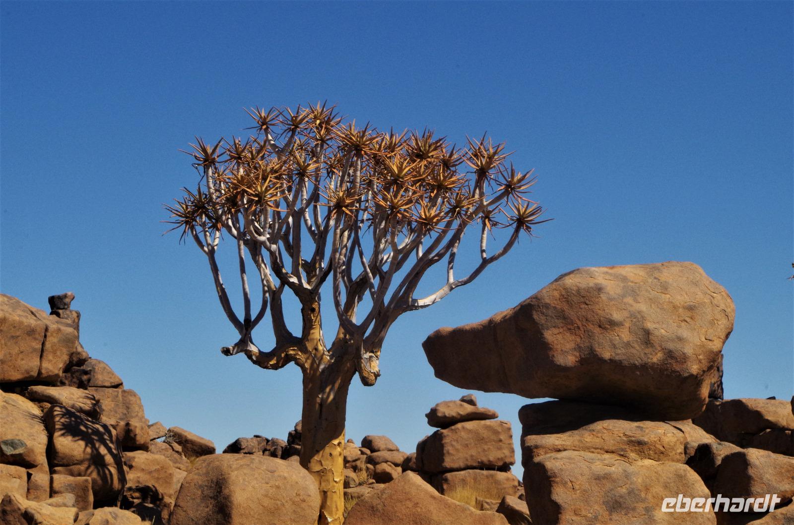 Namibia -Spielplatz der Riesen