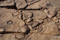 Namibia - Fish River Canyon - Steineier (Stromatolithen)