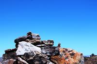 Namibia - am Fish River Canyon entdeckt