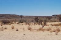 Namibia - Unterwegs