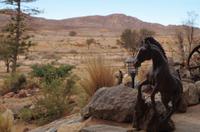 Namibia - Klein Aus Vista Lodge
