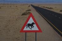 Namibia - Achtung Wildpferde
