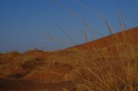 Namibia - Ausflug in die Namib