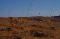 Namibia - rotes Wüstenmeer