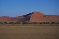 Namibia - rotes Dünenmeer