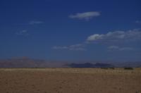 Namibia - Nature Drive in der Namib