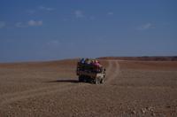 Namibia - Natur Drive in der Namib