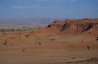 Namibia - fossile Düne
