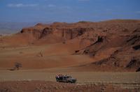 Namibia - Nature Drive in der Namib